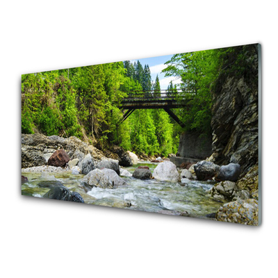 Tableaux sur verre Forêt pierres pont lac paysage brun vert gris