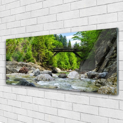 Tableaux sur verre Forêt pierres pont lac paysage brun vert gris