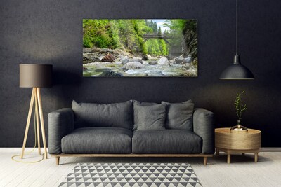 Tableaux sur verre Forêt pierres pont lac paysage brun vert gris