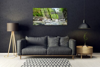 Tableaux sur verre Forêt pierres pont lac paysage brun vert gris