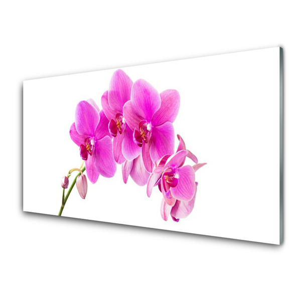 Tableaux sur verre Fleurs floral rose