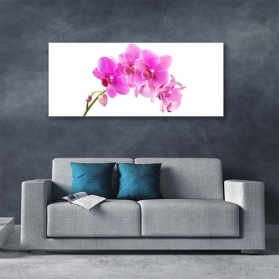 Tableaux sur verre Fleurs floral rose