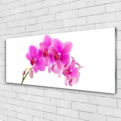 Tableaux sur verre Fleurs floral rose