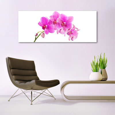 Tableaux sur verre Fleurs floral rose