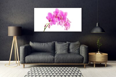 Tableaux sur verre Fleurs floral rose