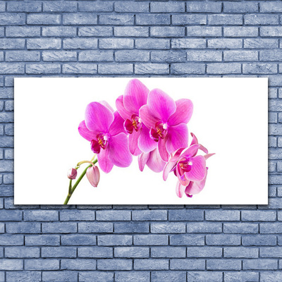 Tableaux sur verre Fleurs floral rose