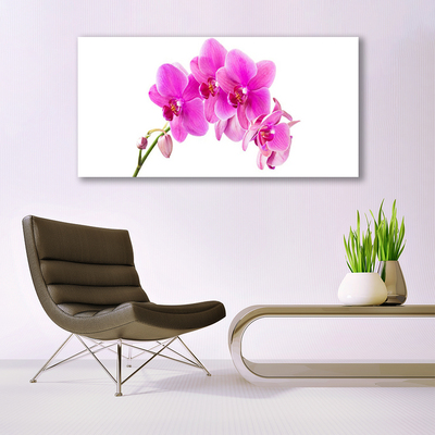 Tableaux sur verre Fleurs floral rose