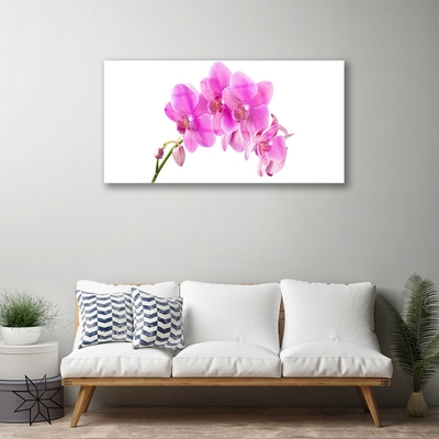 Tableaux sur verre Fleurs floral rose