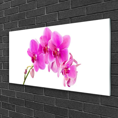 Tableaux sur verre Fleurs floral rose