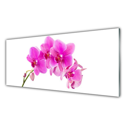 Tableaux sur verre Fleurs floral rose