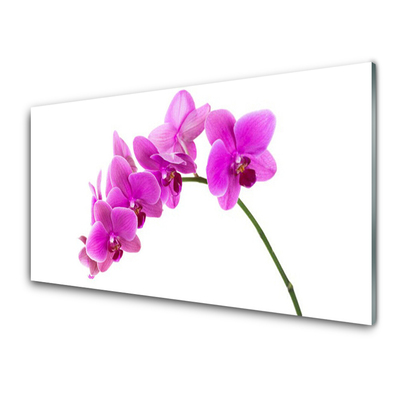 Tableaux sur verre Fleurs floral rose