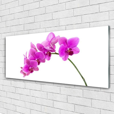 Tableaux sur verre Fleurs floral rose