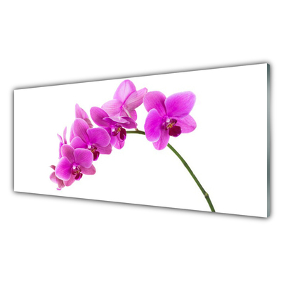 Tableaux sur verre Fleurs floral rose