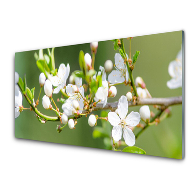 Tableaux sur verre Branches fleurs floral vert blanc