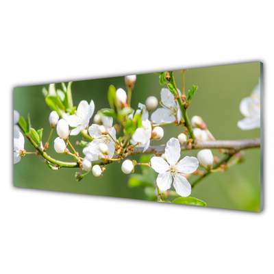 Tableaux sur verre Branches fleurs floral vert blanc