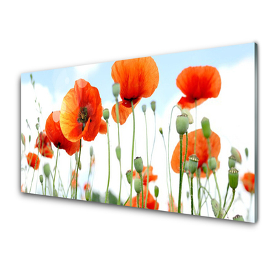 Tableaux sur verre Coquelicots floral rouge