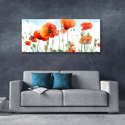 Tableaux sur verre Coquelicots floral rouge