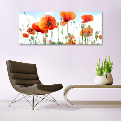 Tableaux sur verre Coquelicots floral rouge