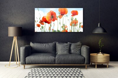 Tableaux sur verre Coquelicots floral rouge