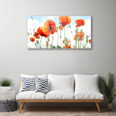 Tableaux sur verre Coquelicots floral rouge