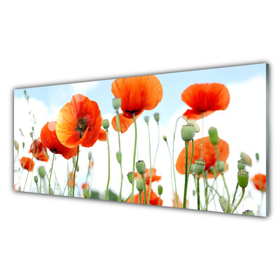 Tableaux sur verre Coquelicots floral rouge