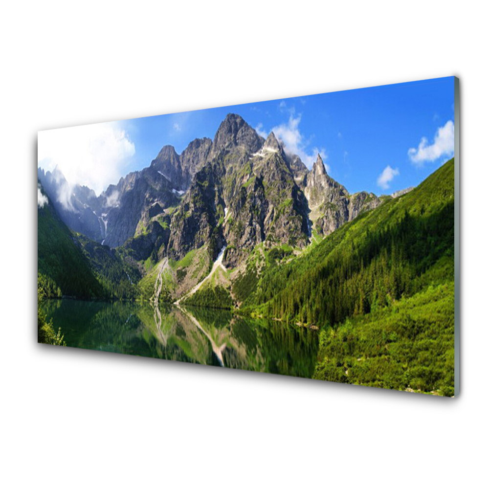 Tableaux sur verre Montagne lac nature gris vert