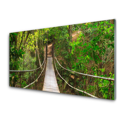 Tableaux sur verre Forêt pont nature brun vert