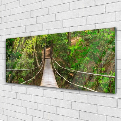 Tableaux sur verre Forêt pont nature brun vert
