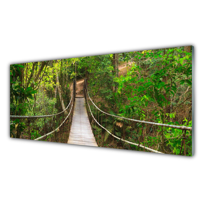 Tableaux sur verre Forêt pont nature brun vert