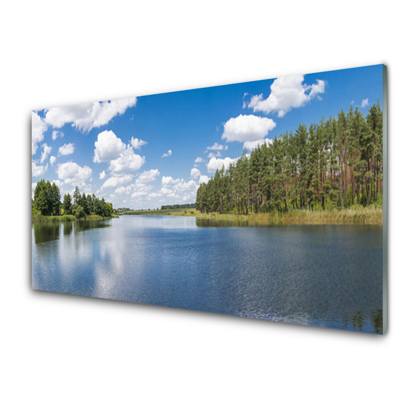 Tableaux sur verre Forêt lac paysage vert bleu