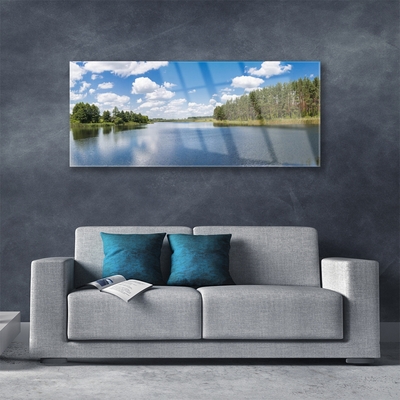 Tableaux sur verre Forêt lac paysage vert bleu