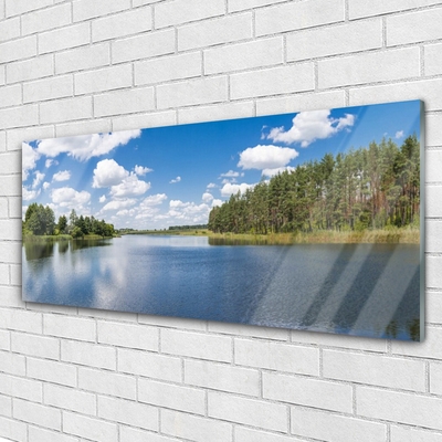 Tableaux sur verre Forêt lac paysage vert bleu