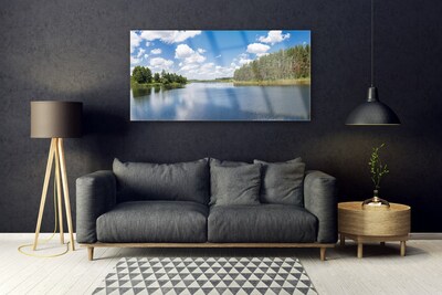 Tableaux sur verre Forêt lac paysage vert bleu