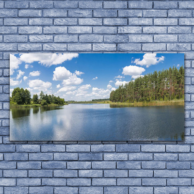 Tableaux sur verre Forêt lac paysage vert bleu