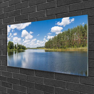 Tableaux sur verre Forêt lac paysage vert bleu