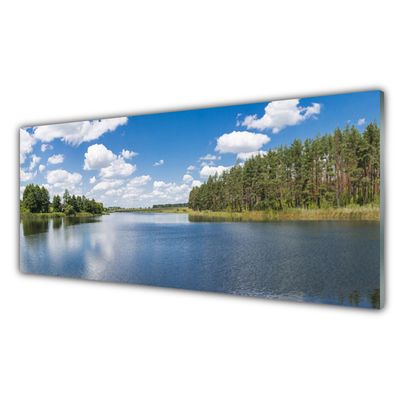 Tableaux sur verre Forêt lac paysage vert bleu