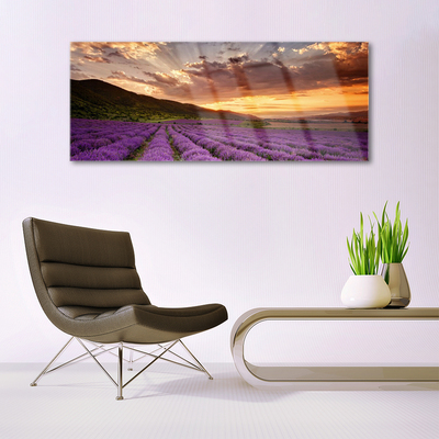 Tableaux sur verre Montagnes prairie fleurs paysage vert rose