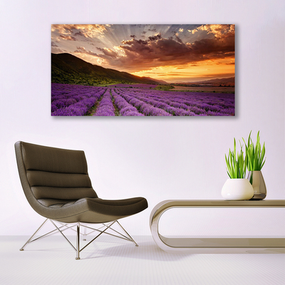 Tableaux sur verre Montagnes prairie fleurs paysage vert rose