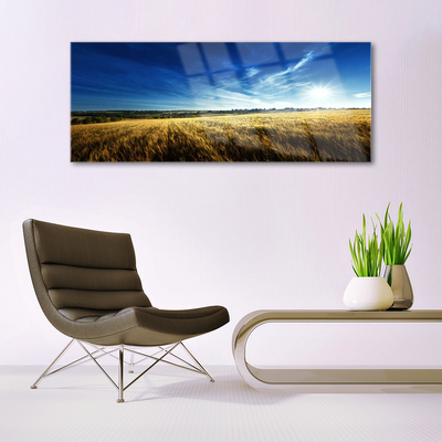 Tableaux sur verre Ciel champ nature jaune bleu blanc