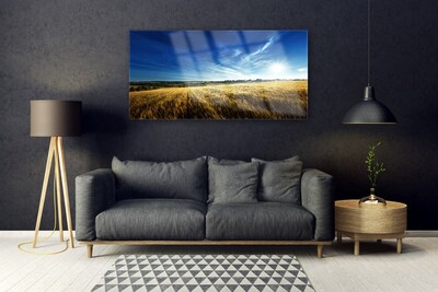 Tableaux sur verre Ciel champ nature jaune bleu blanc