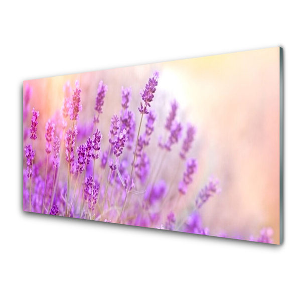 Tableaux sur verre Fleurs floral rose