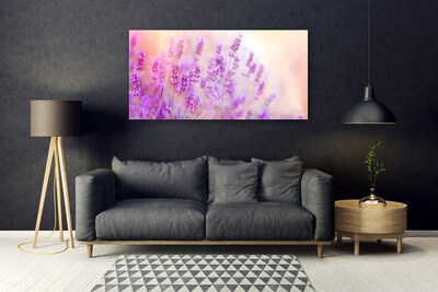 Tableaux sur verre Fleurs floral rose