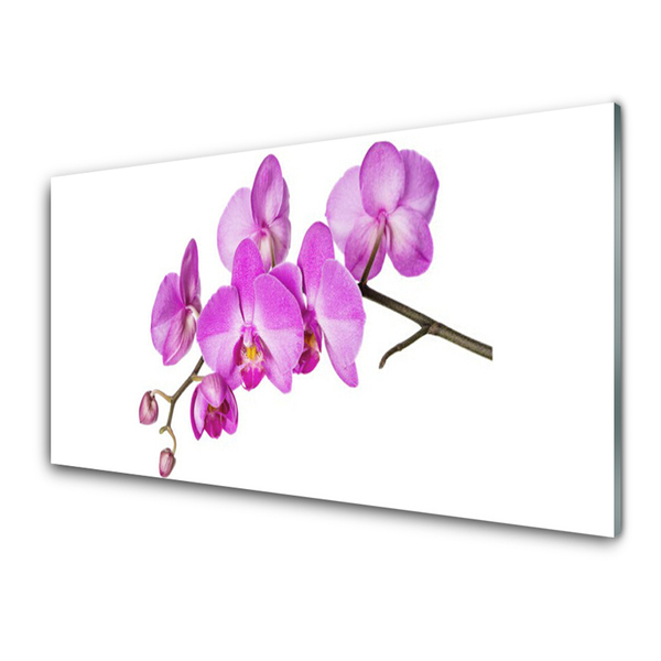 Tableaux sur verre Fleurs floral rose