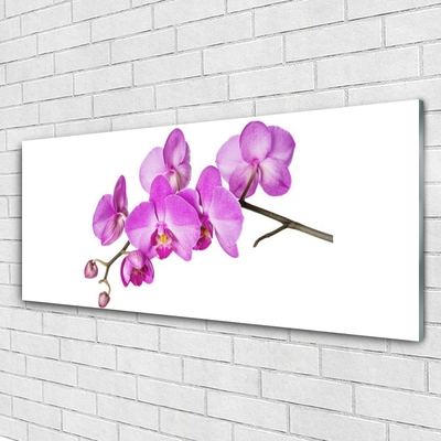 Tableaux sur verre Fleurs floral rose