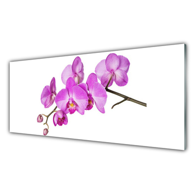 Tableaux sur verre Fleurs floral rose