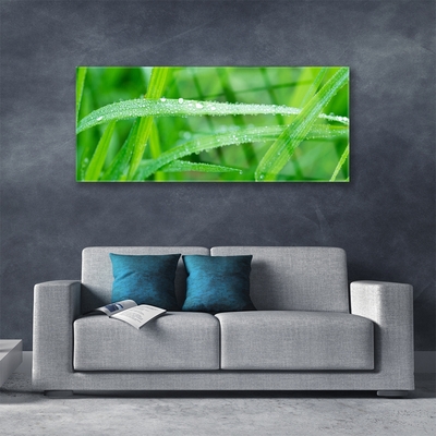 Tableaux sur verre Herbe nature vert