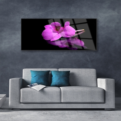 Tableaux sur verre Fleur floral rose