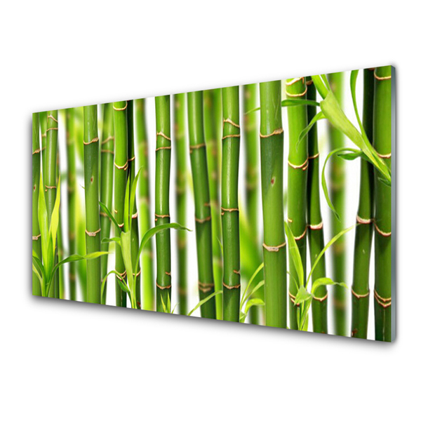 Tableaux sur verre Bambou floral vert