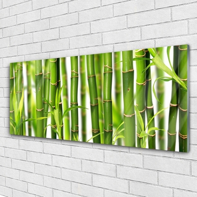 Tableaux sur verre Bambou floral vert