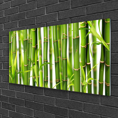 Tableaux sur verre Bambou floral vert